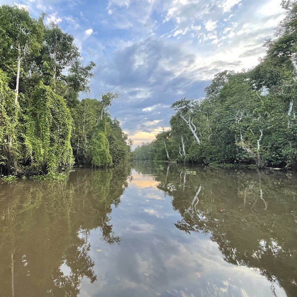 Lungo il Kinabatangan